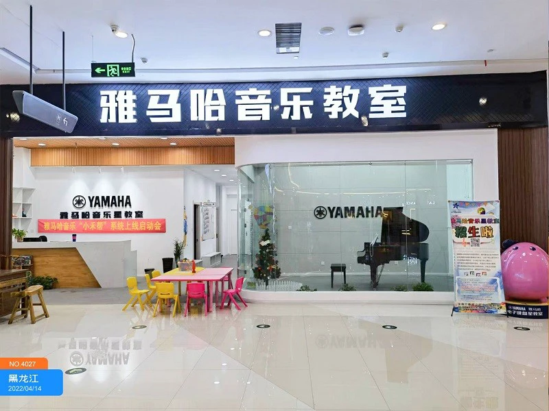 篮球基本功训练计划视频讲解_2