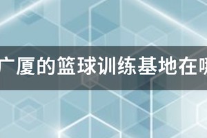 温江金强篮球训练基地怎么样